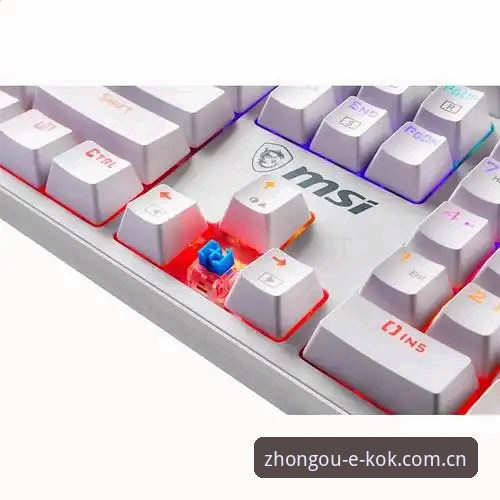 KOK中欧体育最新地址 KOK中欧体育最新地址深度评测:v2.2.0版本功能与用户体验全面解析