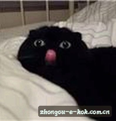 王浩